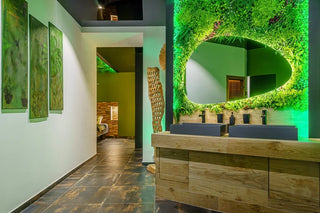 🌺 Suite Tropicale