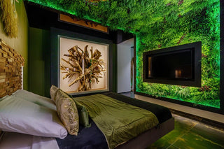 🌺 Suite Tropicale